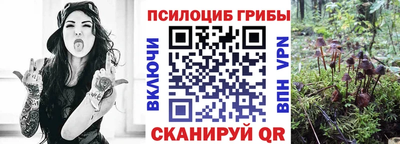 Галлюциногенные грибы MAGIC MUSHROOMS  Долинск 
