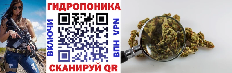 дарк нет Telegram  Долинск  Марихуана семена  что такое  